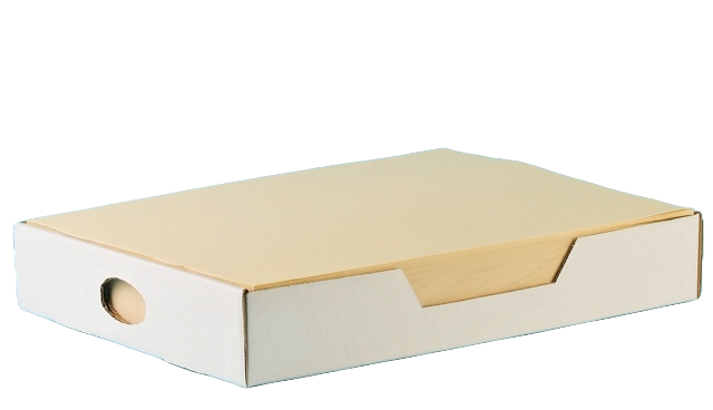 Tischset 'Prima', 1-lg, 29x39cm champagner