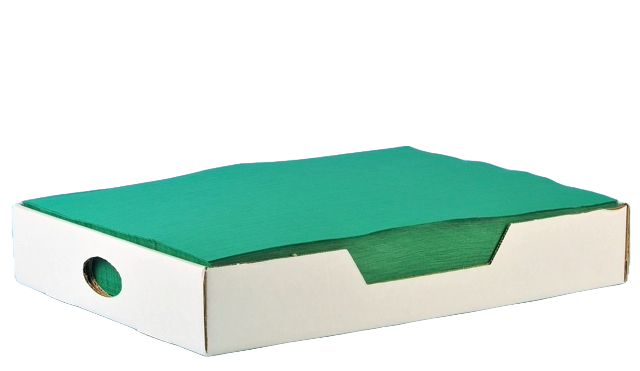 Tischset 'Prima', 1-lg 29x39cm tannengrün