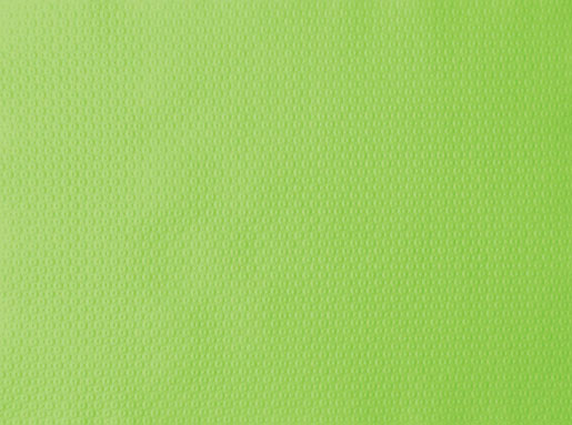 Tischset Papier geprägt, 30x40cm, kiwi