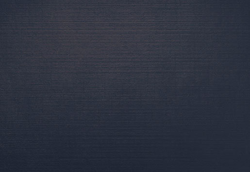 Evolin Tischset, 30x43.5cm schwarz