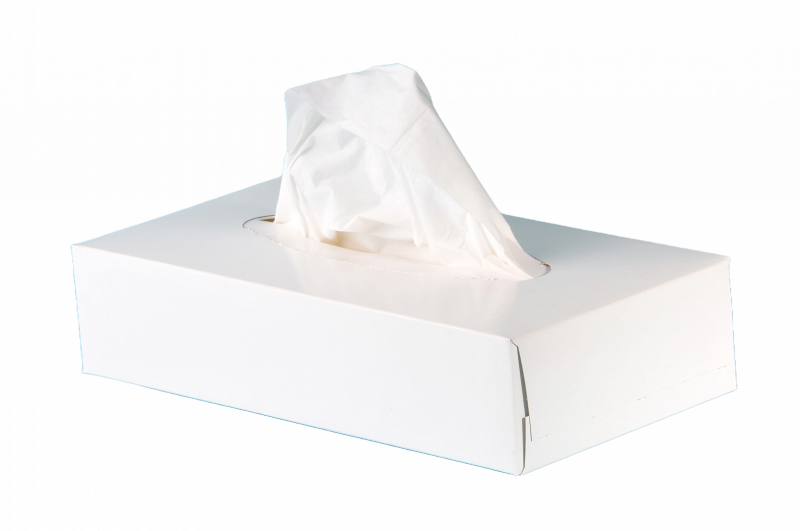 Kosmetiktücher, neutral, 2-lg, 100, samtweich