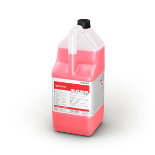 Into forte 1l, Sanitär- Unterhaltsreiniger 