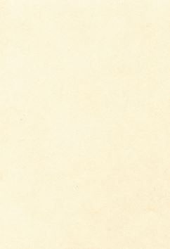 Einlageblätter A4, Efalan, créme