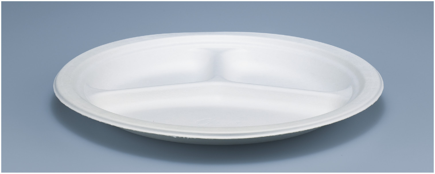 Teller Natura Chinet, weiss, ø260mm, 3-teilig