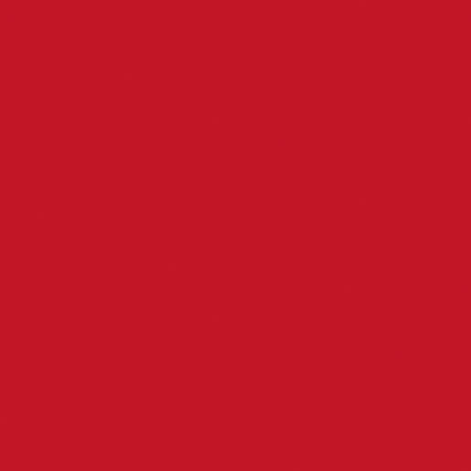 Servietten Bio Dunisoft, 1/4-Falz, 40x40cm, rot