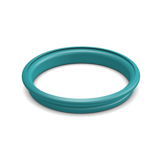 Dichtring &quot;Cleaningseal&quot;